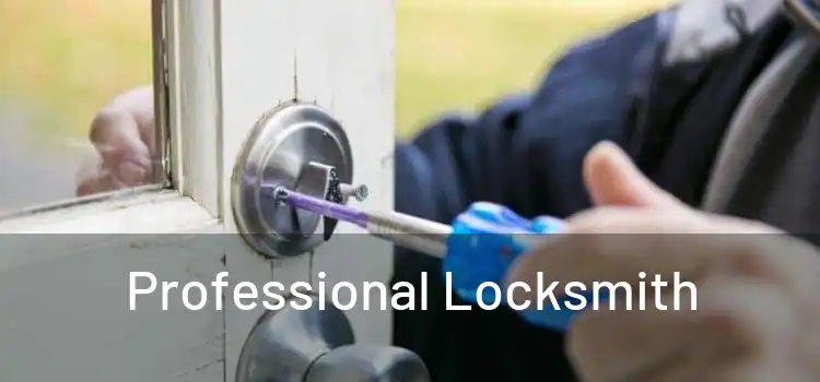  Professional Locksmith 